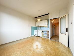 Prodej bytu 1+1, Ústí nad Labem, Stará, 36 m2
