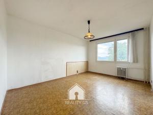 Prodej bytu 1+1, Ústí nad Labem, Stará, 36 m2