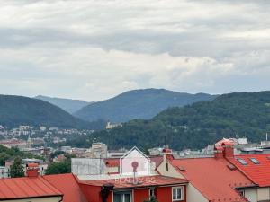 Prodej bytu 1+1, Ústí nad Labem, Stará, 36 m2