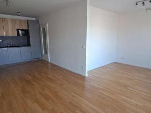 Pronájem bytu 1+kk, Praha - Žižkov, U Viktorie, 49 m2