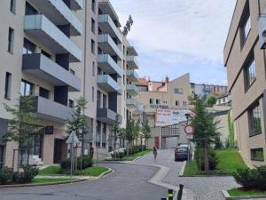 Pronájem bytu 1+kk, Praha - Žižkov, U Viktorie, 49 m2