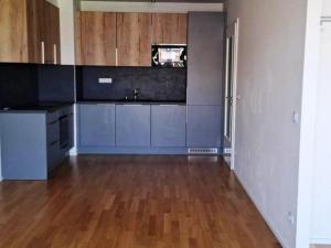 Pronájem bytu 1+kk, Praha - Žižkov, U Viktorie, 49 m2