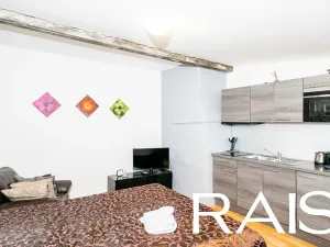 Prodej činžovního domu, Brno, 1030 m2