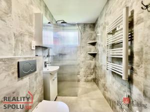 Pronájem bytu 2+kk, Opava - Předměstí, Těšínská, 36 m2