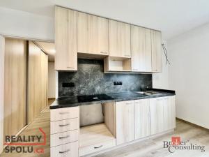 Pronájem bytu 2+kk, Opava - Předměstí, Těšínská, 36 m2