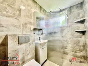 Pronájem bytu 2+kk, Opava - Předměstí, Těšínská, 36 m2