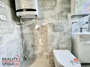 Pronájem bytu 2+kk, Opava - Předměstí, Těšínská, 36 m2