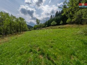 Prodej louky, Halenkov, 1784 m2