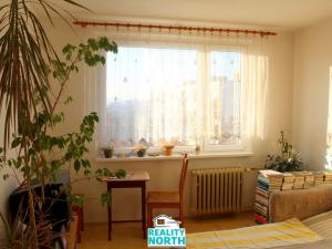 Pronájem bytu 1+kk, Ústí nad Labem, SNP, 22 m2