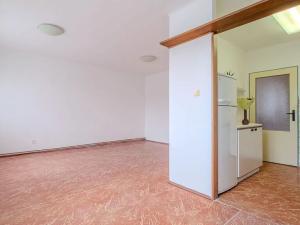 Prodej bytu 3+kk, Poděbrady, U Plynovodu, 67 m2