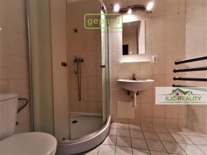 Pronájem bytu 1+kk, Plzeň, Skrétova, 25 m2