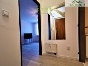 Pronájem bytu 1+kk, Plzeň, Skrétova, 25 m2