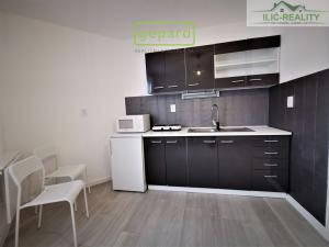 Pronájem bytu 1+kk, Plzeň, Skrétova, 25 m2