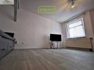 Pronájem bytu 1+kk, Plzeň, Skrétova, 25 m2
