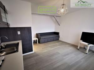 Pronájem bytu 1+kk, Plzeň, Skrétova, 25 m2