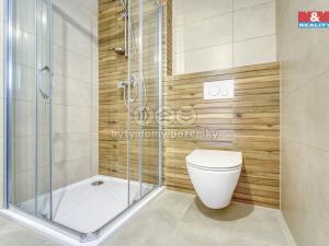 Pronájem bytu 1+kk, Plzeň, Měděná, 41 m2