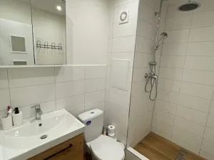 Pronájem bytu 1+1, Ústí nad Labem, Tolstého, 37 m2