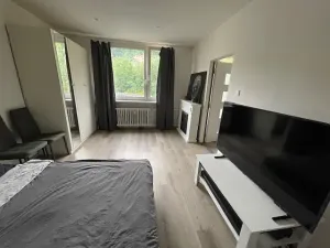 Pronájem bytu 1+1, Ústí nad Labem, Tolstého, 37 m2