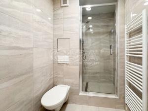 Pronájem bytu 2+1, Kaplice, Omlenická, 56 m2