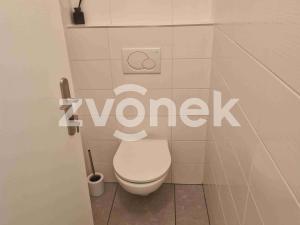 Pronájem výrobních prostor, Kudlovice, 1074 m2
