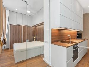 Pronájem bytu 2+kk, Praha - Staré Město, Bílkova, 50 m2