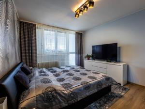 Prodej bytu 3+1, Líně, Vodárenská, 70 m2