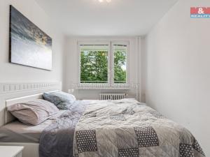 Prodej bytu 2+kk, Teplice - Trnovany, Trnovanská, 39 m2