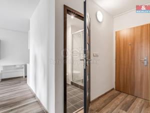 Prodej bytu 2+kk, Teplice - Trnovany, Trnovanská, 39 m2
