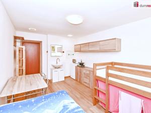Prodej bytu 1+kk, Praha - Nusle, Horní, 21 m2