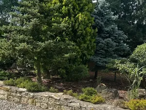 Prodej rodinného domu, Líský, 300 m2