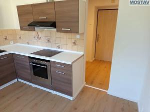 Prodej bytu 1+1, Litvínov, Horská, 33 m2