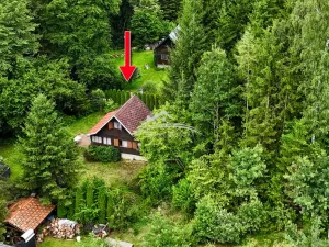 Prodej chaty, Nová Cerekev - Stanovice, 55 m2