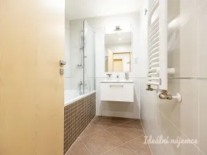 Pronájem bytu 2+kk, Praha - Žižkov, Olšanská, 69 m2