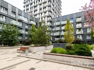 Pronájem bytu 2+kk, Praha - Žižkov, Olšanská, 69 m2