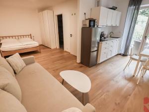 Prodej bytu 1+kk, Pec pod Sněžkou, 36 m2