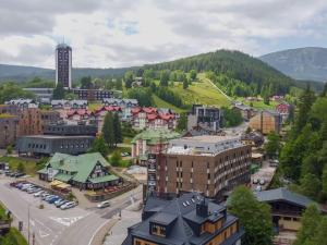 Prodej bytu 1+kk, Pec pod Sněžkou, 36 m2