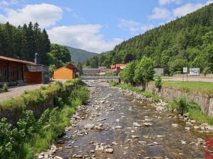 Prodej bytu 1+kk, Pec pod Sněžkou, 36 m2