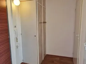 Pronájem bytu 1+1, Praha - Chodov, Bachova, 30 m2