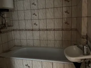 Prodej bytu 3+1, Lešany, 58 m2