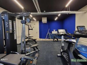 Pronájem bytu 1+kk, Praha - Chodov, Čenětická, 22 m2