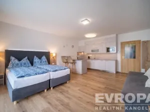 Prodej bytu 1+kk, Lipno nad Vltavou, 42 m2
