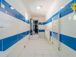 Prodej rodinného domu, Vřesina, Vodní důl, 279 m2