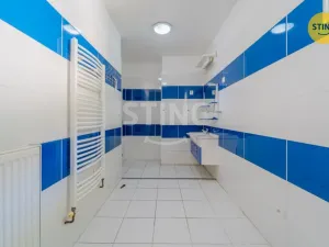 Prodej rodinného domu, Vřesina, Vodní důl, 279 m2