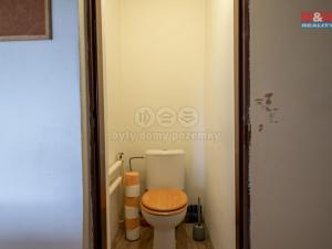 Prodej rodinného domu, Hrejkovice - Pechova Lhota, 170 m2