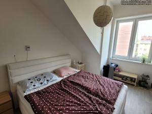 Prodej bytu 5+1, Ostrava, Tvorkovských, 118 m2