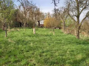 Prodej zahrady, Bořenovice, 1323 m2