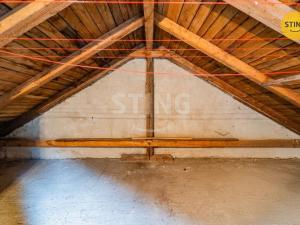 Prodej rodinného domu, Česká Ves, Družstevní, 90 m2