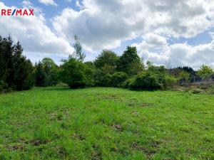 Prodej sadu/vinice, Říčany, 1010 m2