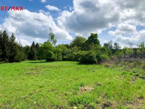 Prodej sadu/vinice, Říčany, 1010 m2
