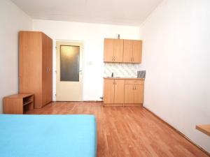 Pronájem bytu 1+kk, Plzeň - Severní Předměstí, Strážnická, 19 m2